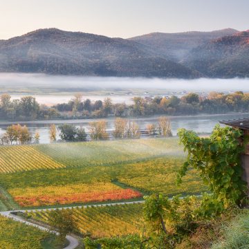 Wein Fotos