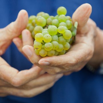 Fotograf Wein