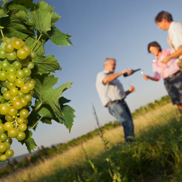Fotograf Wein